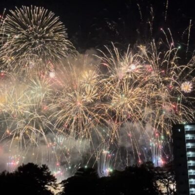 高知県高知市鷹匠町２丁目 画像12